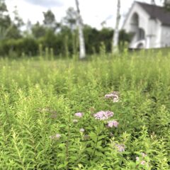 自然を肌に感じることが目的…