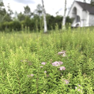 自然を肌に感じることが目的…