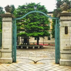 箸や楓は京都東山で箸づくり